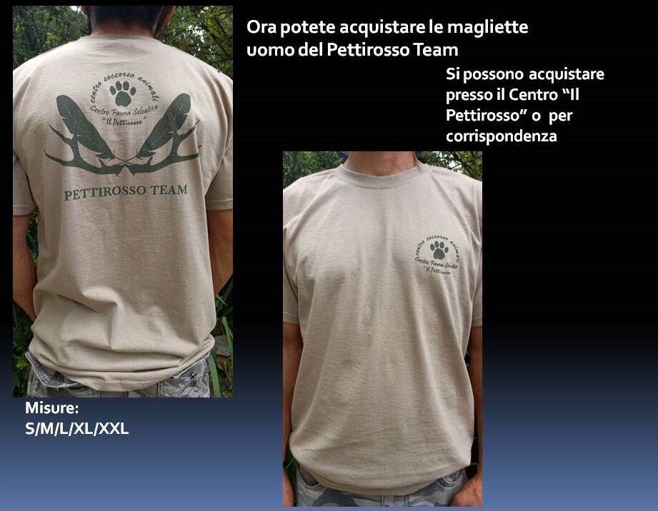 Magliette Pettirosso Unisex