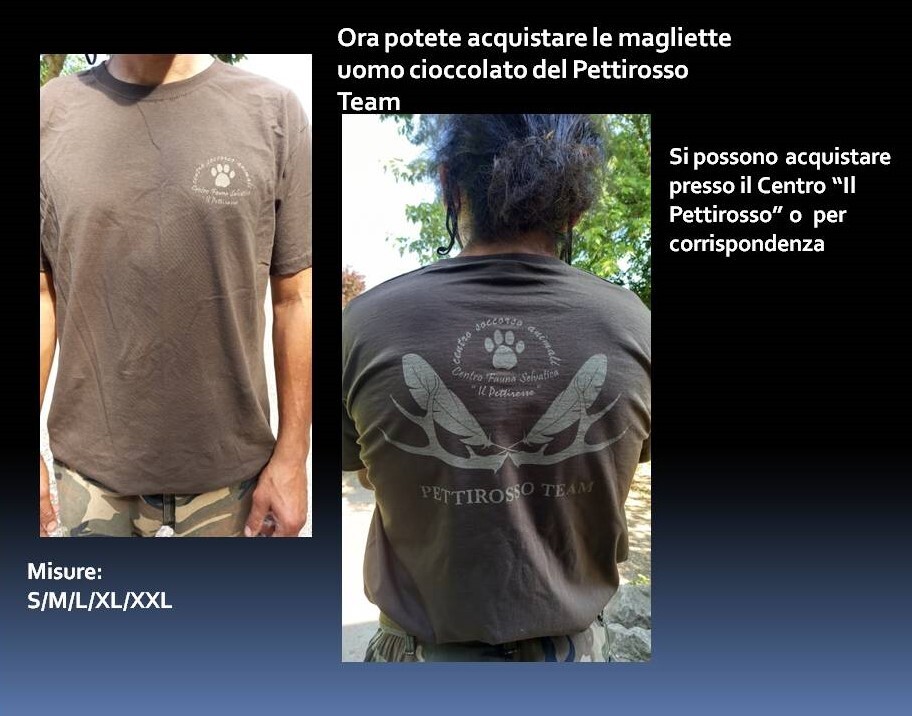 Magliette Pettirosso Unisex