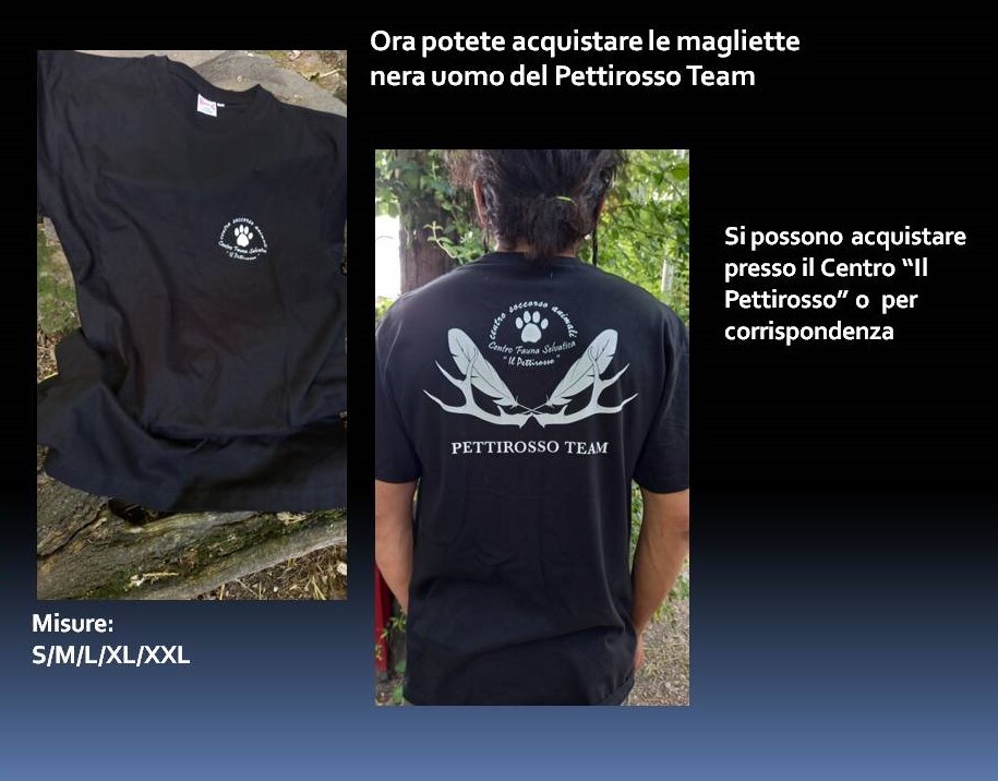 Magliette Pettirosso Unisex