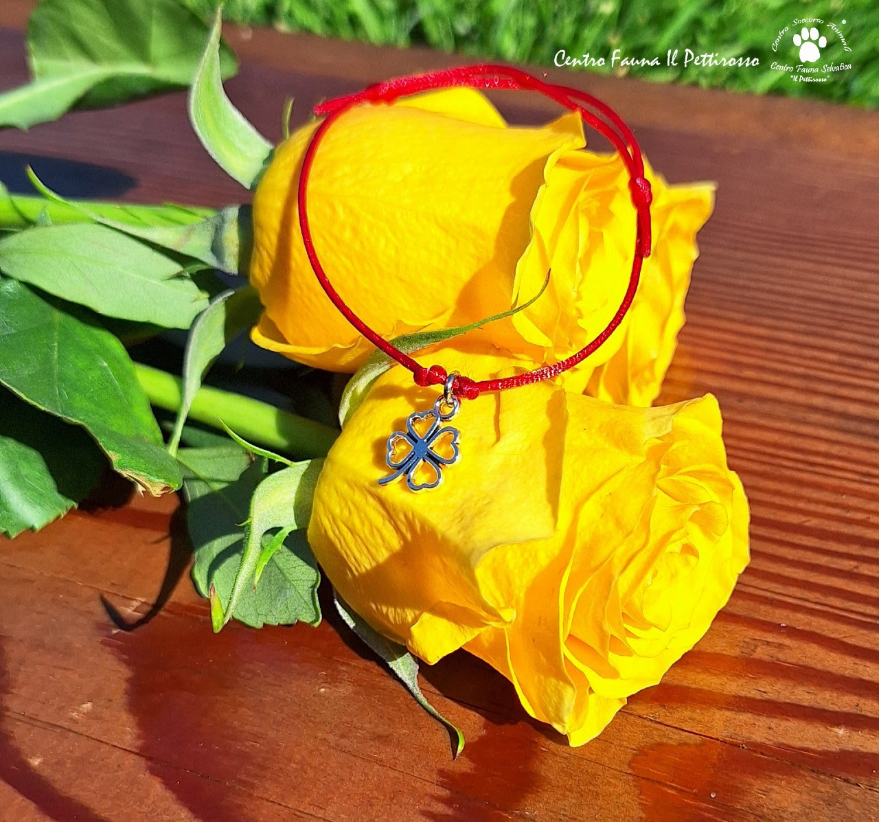 8 Marzo – Festa della Donna