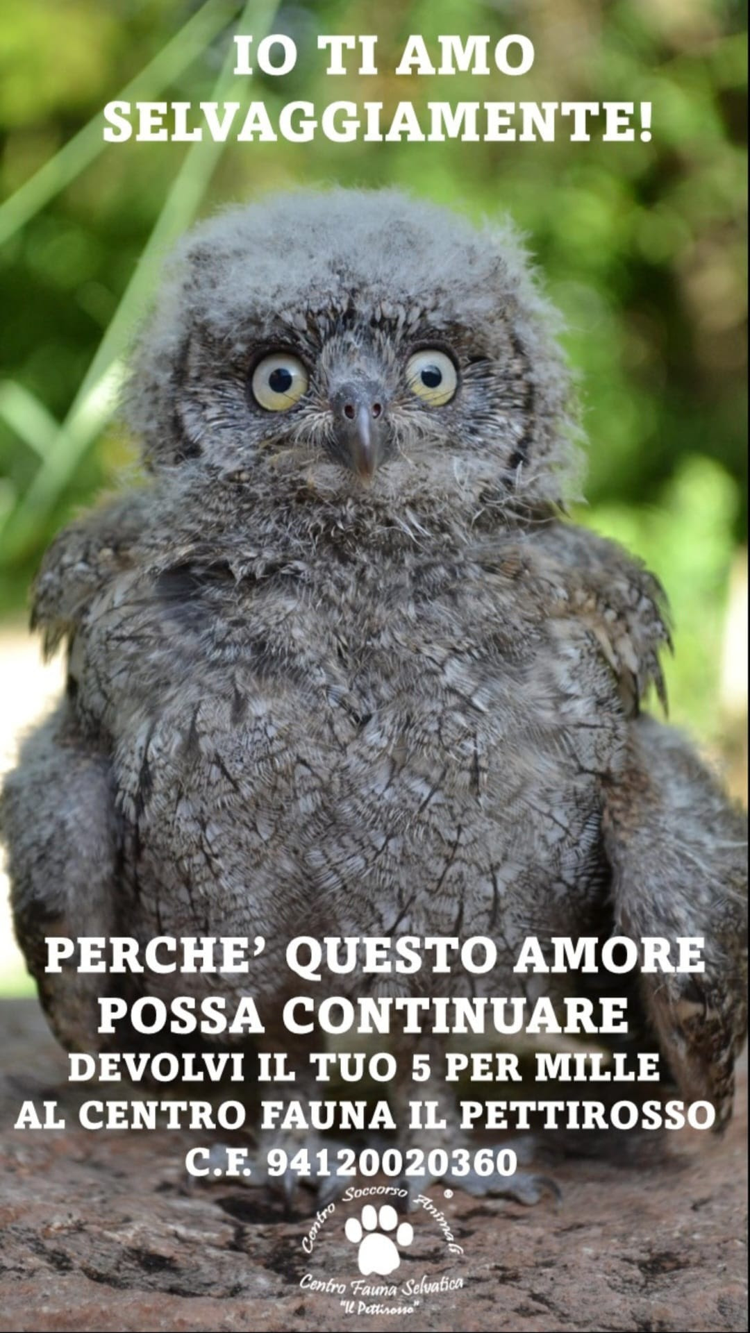 5 x Mille nelle vostre dichiarazioni per l’anno 2024