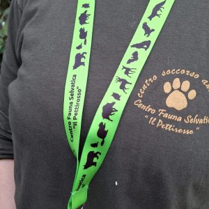 Laccetto porta chiavi, badge con moschettone