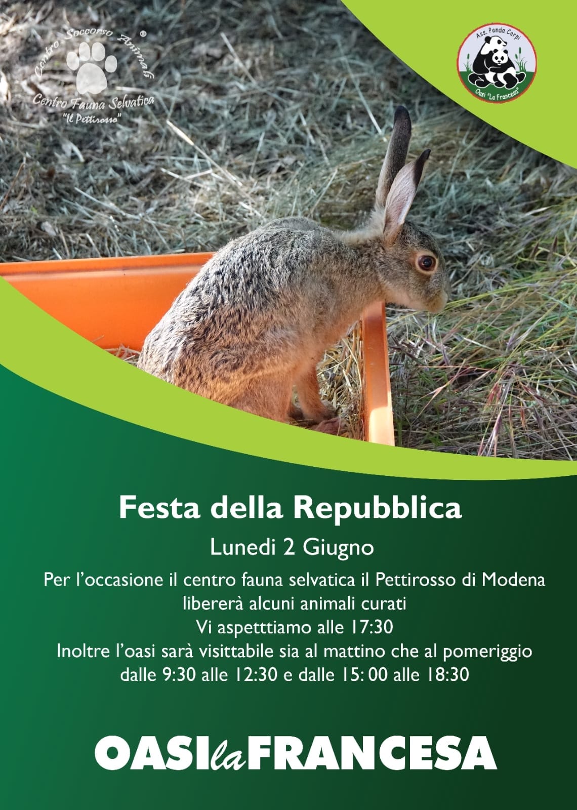 2 Giugno 2025 – liberazione all’Oasi La Francesa ore 17.30 circa