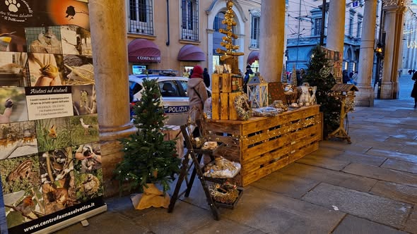 Un Natale nel segno del pettirosso