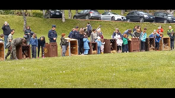 11 Aprile 2026 – liberazione caprioli ore 11.30 circa Agriturismo Feliceto a Fanano