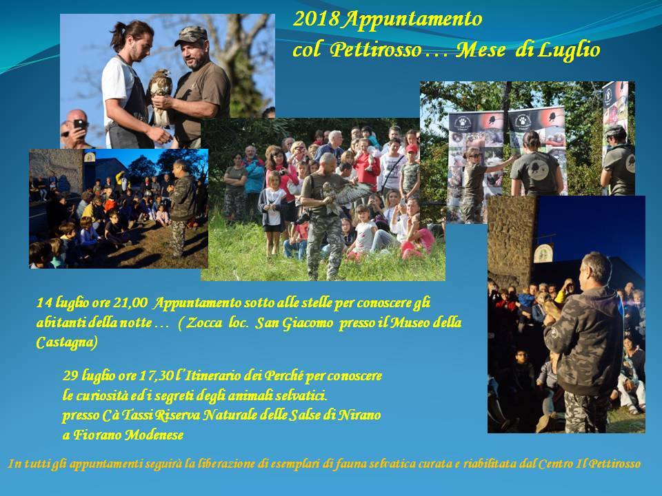 Appuntamenti di Luglio 2018 con il nostro centro da non perdere