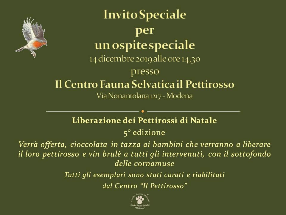 14 Dicembre 2019 – ore 14.30 liberazione dei pettirossi
