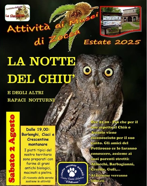 2 AGOSTO – Notte dei Chiù ore 21.00 San Giacomo di Zocca
