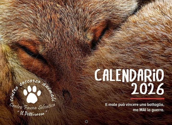 Nuovo calendario 2026
